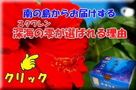 23534ed8ec2a5bb18674b5a24539bf581 ようこそ